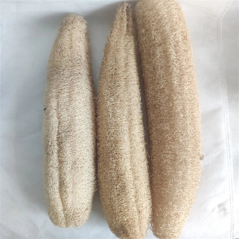 Éponge loofah naturelle, corps et spa