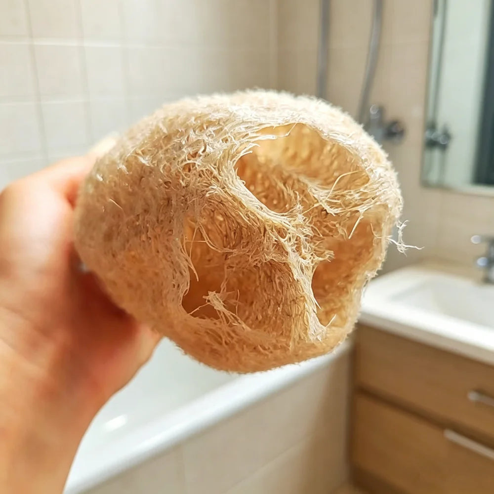 Éponge loofah naturelle, corps et spa