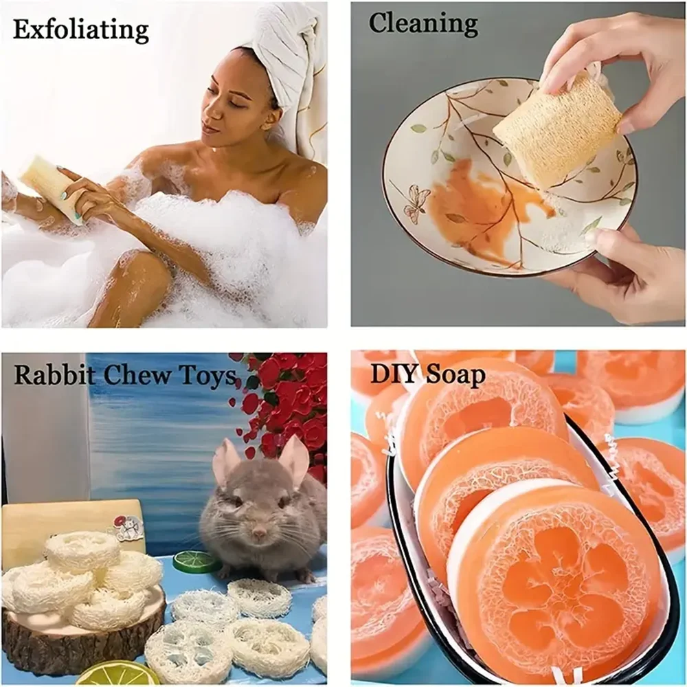 Éponge loofah naturelle exfoliante