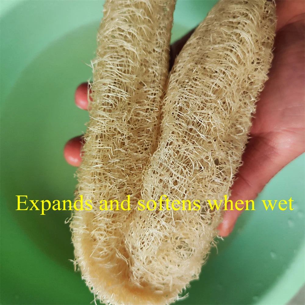 Éponge loofah naturelle, corps et spa