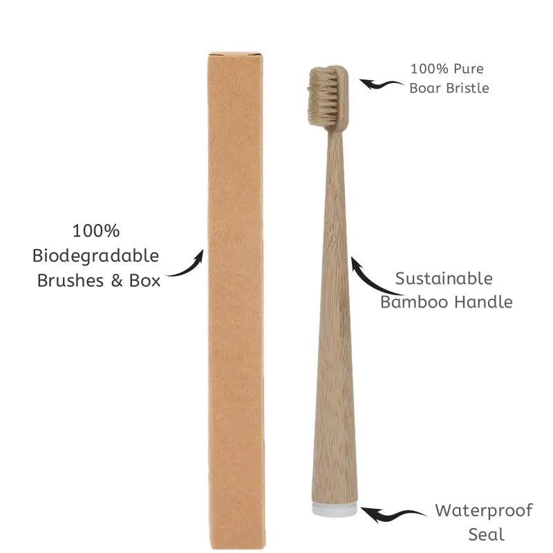 Brosses à dents en bambou, poils naturels, lot de 4